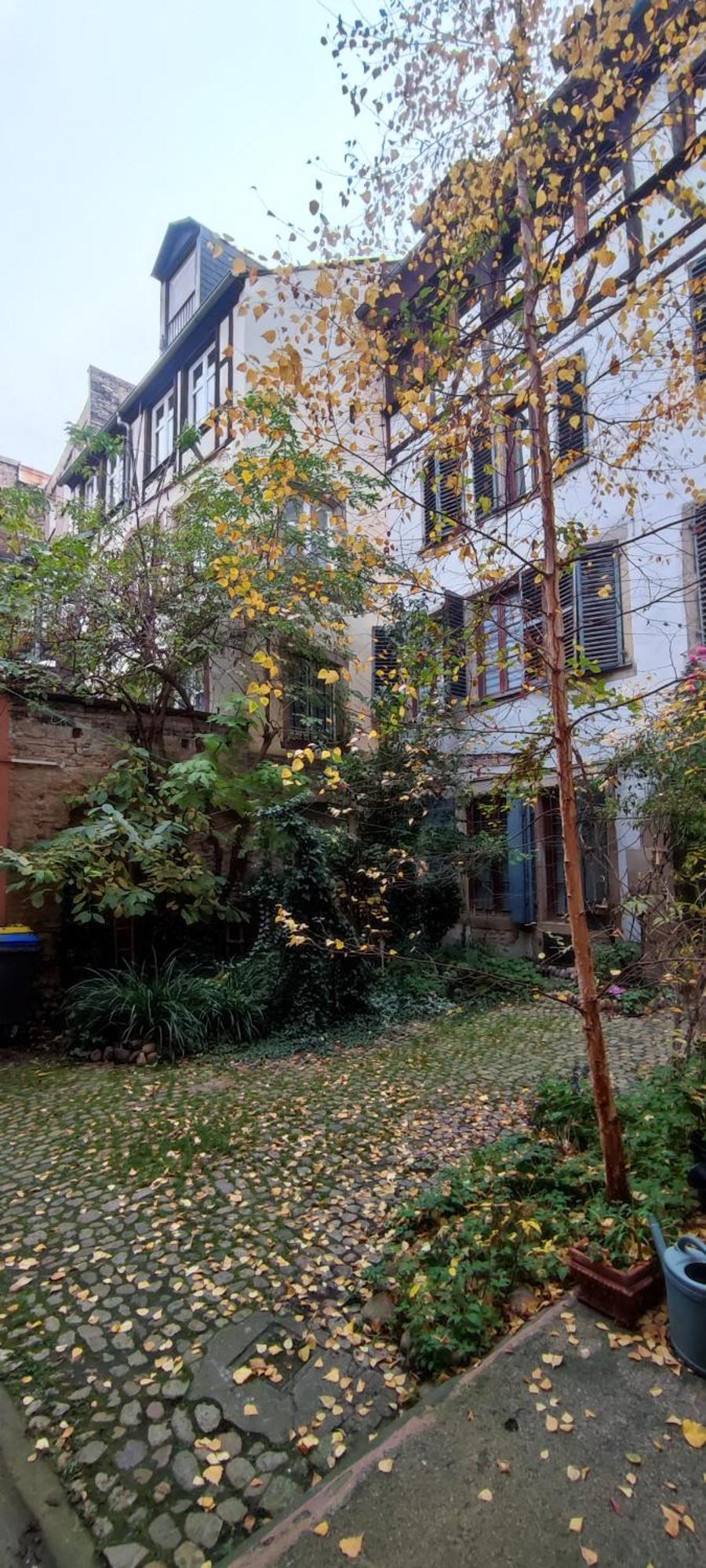Apartamento Haven Estrasburgo Exterior foto